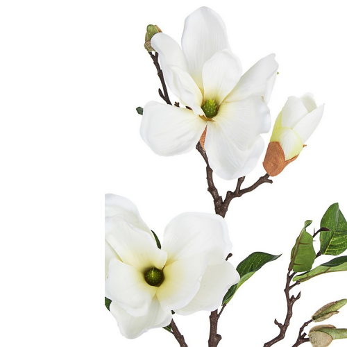 fiore-magnolia-bianco-cm-0172620-bizzotto.png