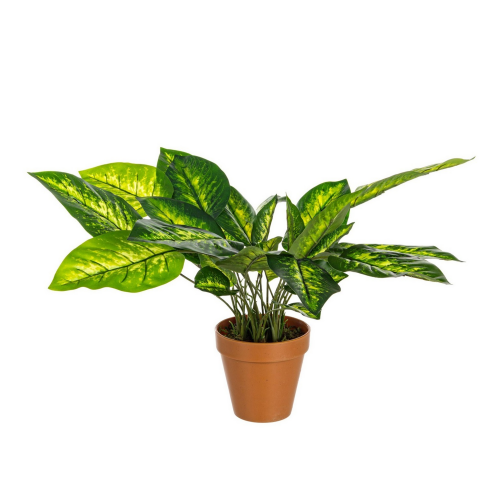 pianta-decorativa-artificiale-bizzotto-dieffenbacha-45-cm.png