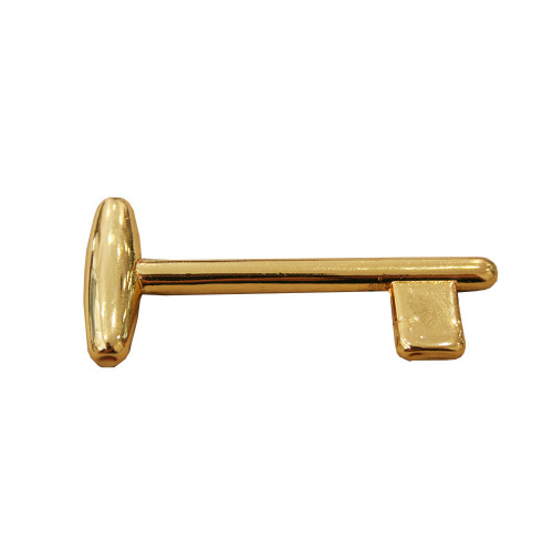 chiave-per-porta-interna-patent-ottone-lucido-valli-colombo-m196.png