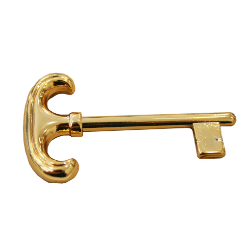 chiave-per-porta-interna-patent-ottone-lucido-valli-colombo-m265.png