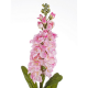 fiore-artificiale-bizzotto-violaciocca-rosa2-torricellastore.png