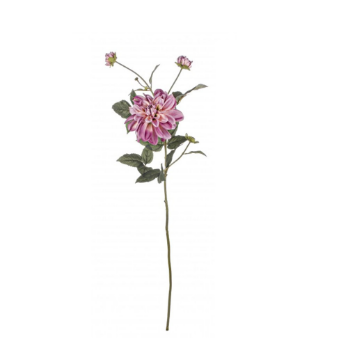 fiore-dalia-4-boccioli-rosa-bizzotto.png