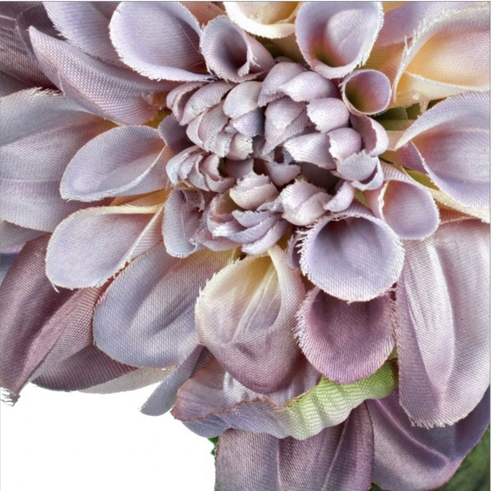 fiore-dalia-4-boccioli-viola-bizzotto-dettagliojpg.png