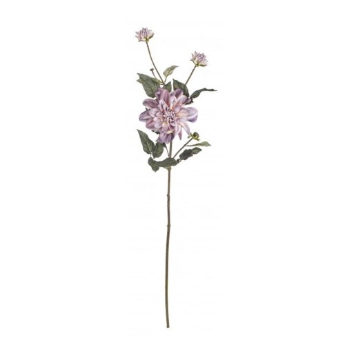 fiore-dalia-4-boccioli-viola-bizzotto.png