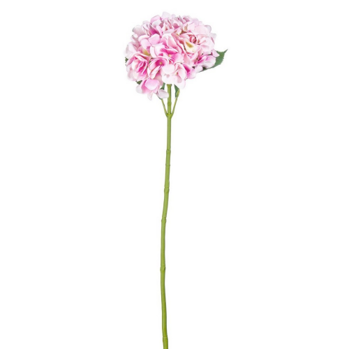fiore-ortensia-bizzotto-rosa-0172299.png