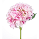 fiore-ortensia-bizzotto-rosa1-0172299.png