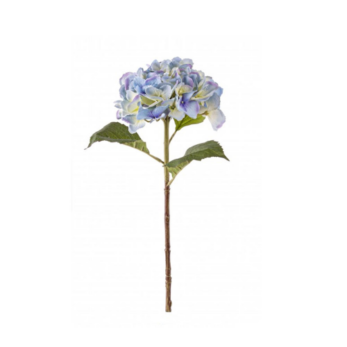 fiore-ortnesia-azzurro-bizzotto.png