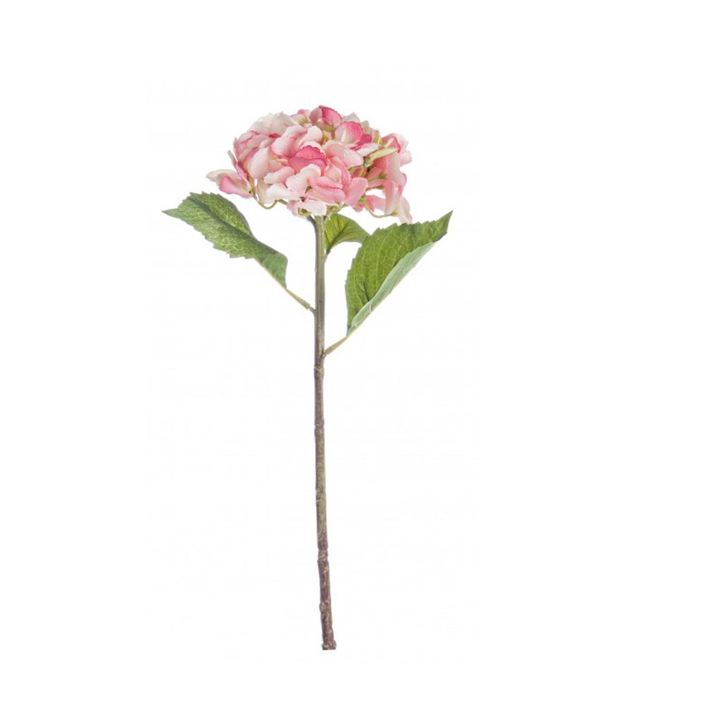 fiore-ortnesia-rosa-bizzotto.png