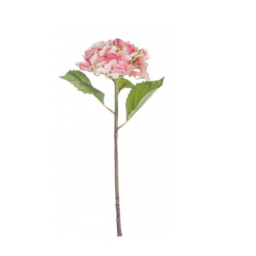 fiore-ortnesia-rosa-bizzotto.png