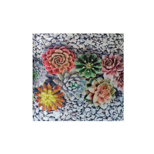 passatoia-tappeto-photoprint-cactus.png