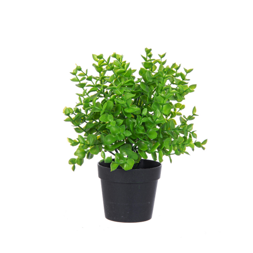 pianta-artificiale-bizzotto-sedium-verde.png