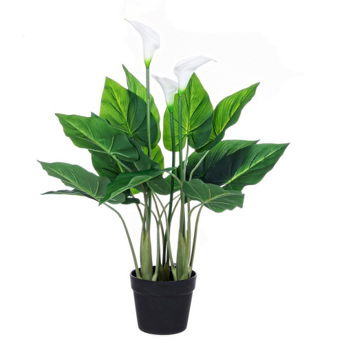 pianta-calla-artificiale-bizzotto-0172496.png