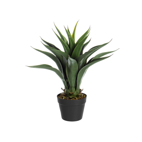 pianta-decorativa-artificiale-bizzotto-agave-60-cm.png