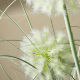pianta-decorativa-artificiale-bizzotto-cebolla-bianco-75-cm-dettaglio.png