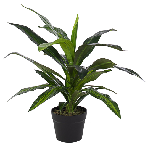 pianta-decorativa-artificiale-bizzotto-dracaena-65-cm.png