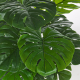 pianta-decorativa-artificiale-bizzotto-filodendro-120-cm-dettaglio.png