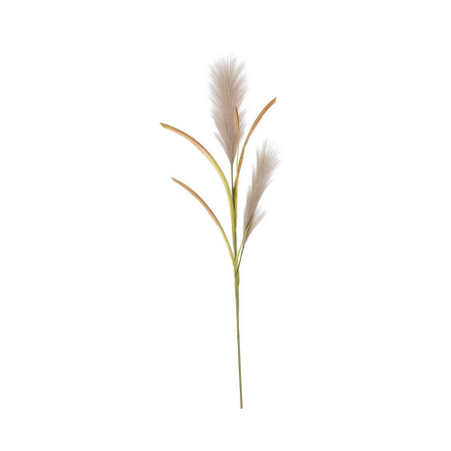 ramo-fiore-artificiale-di-plastica-khali-pampas-tortora-bizzotto-h85cm.png